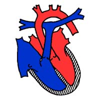 heart1.jpg (16903 bytes)